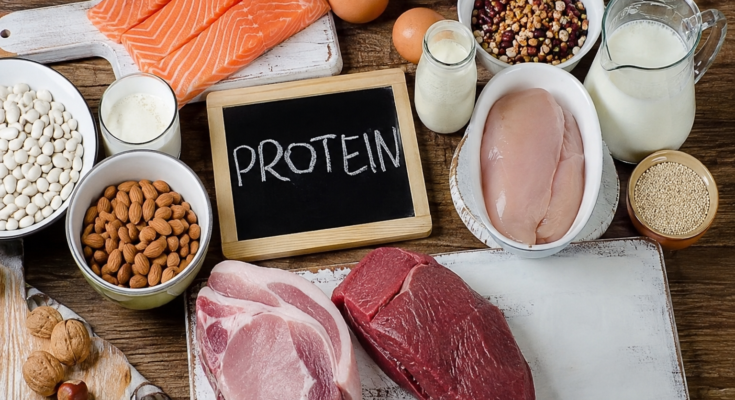 High Protein Foods for Muscle Growth